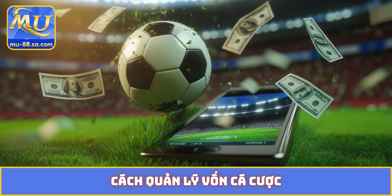 cách quản lý vốn cá cược