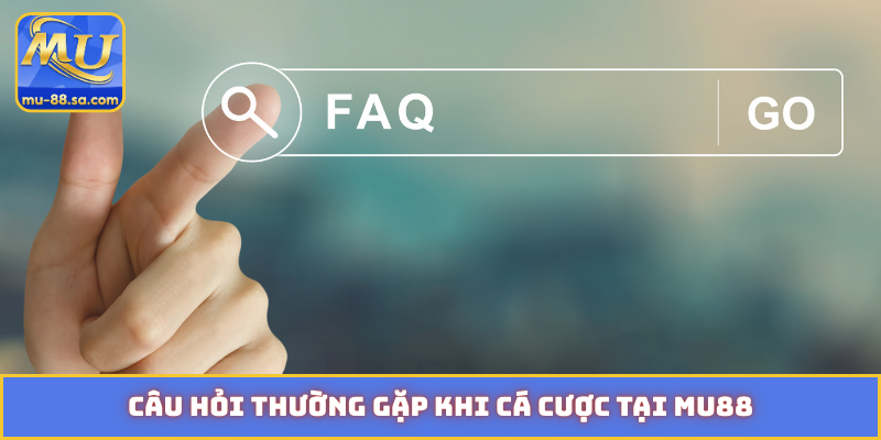 Câu hỏi thường gặp khi cá cược tại MU88