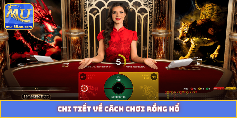 Chi tiết về cách chơi Rồng Hổ