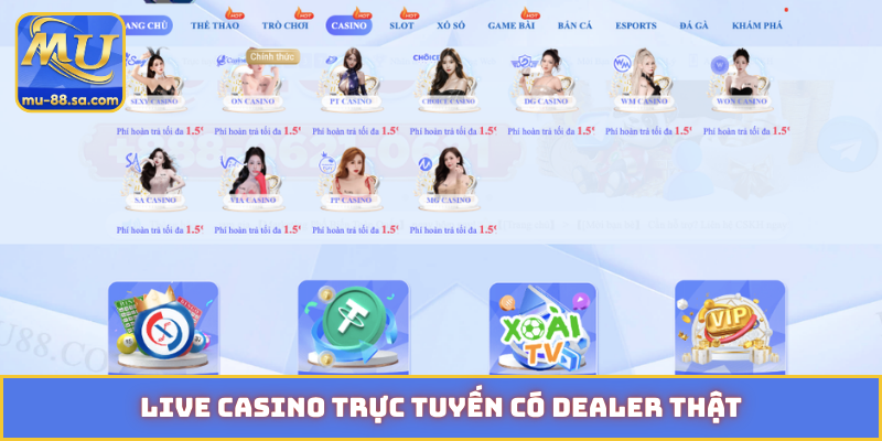 Live casino trực tuyến có dealer thật