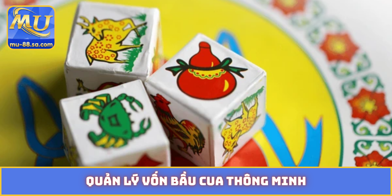 Quản lý vốn bầu cua thông minh