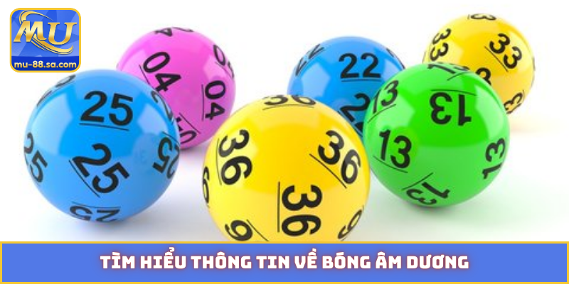 Tìm hiểu thông tin về bóng âm dương